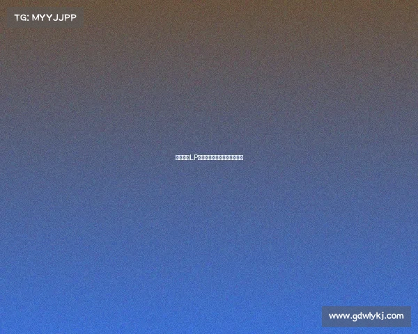 聚焦赛事LP核心体系打造专业化竞赛平台